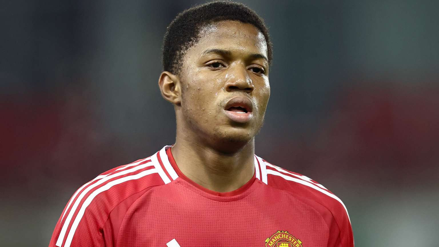 出色的技术 出色的技术